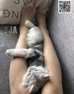 色哟哟免费在线观看